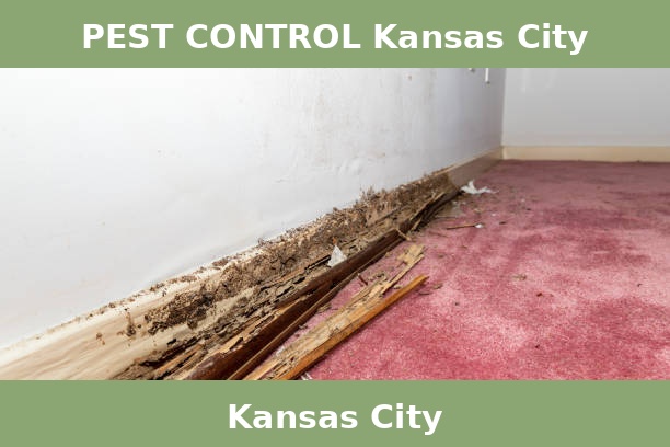 PEST CONTROL Kansas City